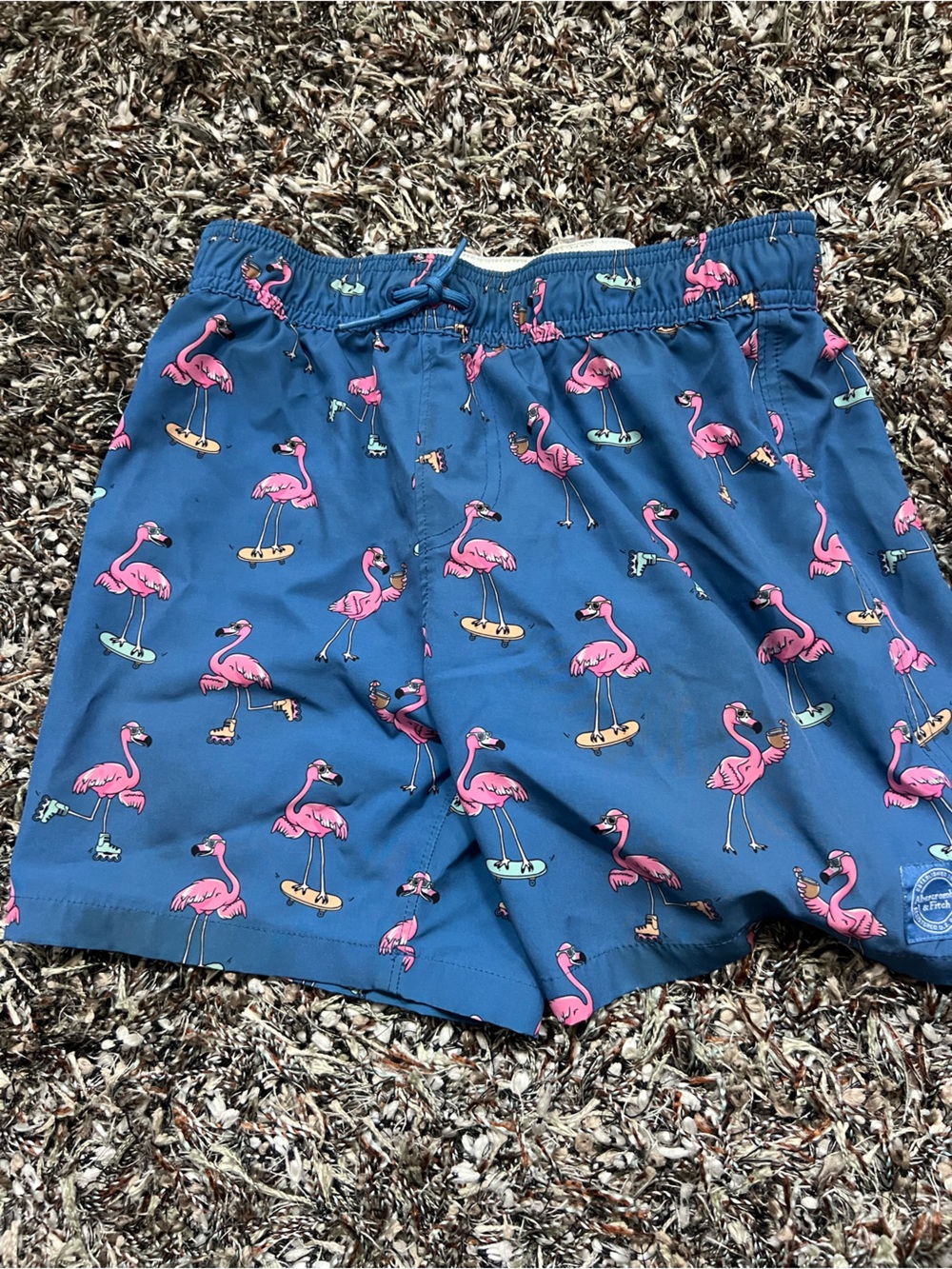 Abercrombie Kids Boys Flamingo Swim Trunks Blue Pink 9/10